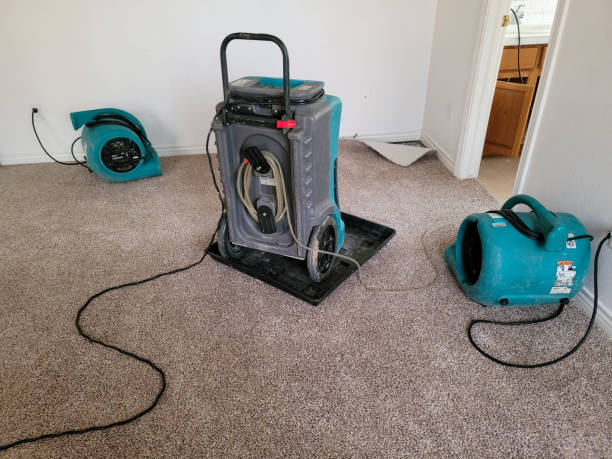 Best Fire Damage Restoration  in Santa Fe, TX