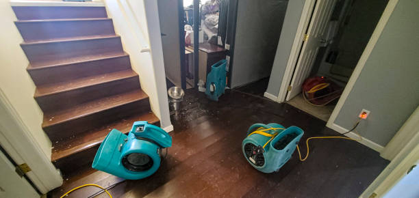  Santa Fe, TX Water damage restoration Pros