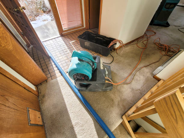 Water damage restoration experts in Santa Fe, TX