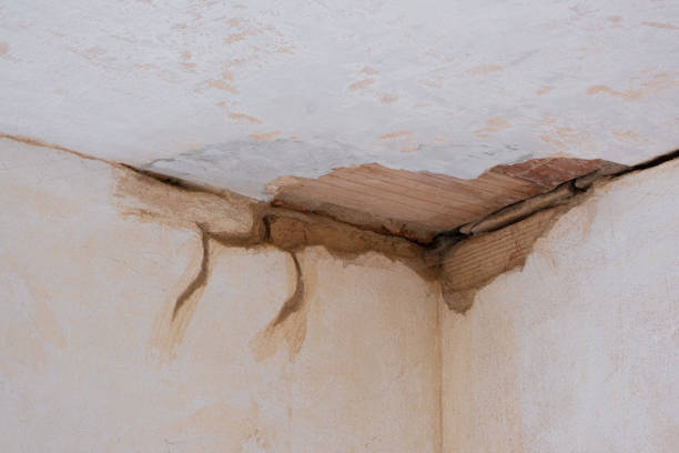 Best 24-hour water damage restoration  in Santa Fe, TX