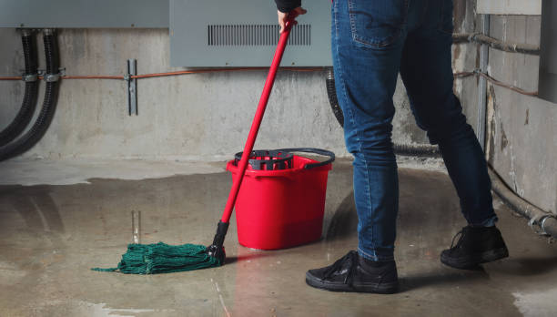 Best Professional water damage repair  in Santa Fe, TX