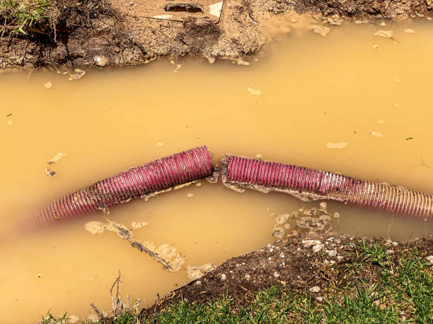 Best Sewage cleanup and water damage restoration  in Santa Fe, TX
